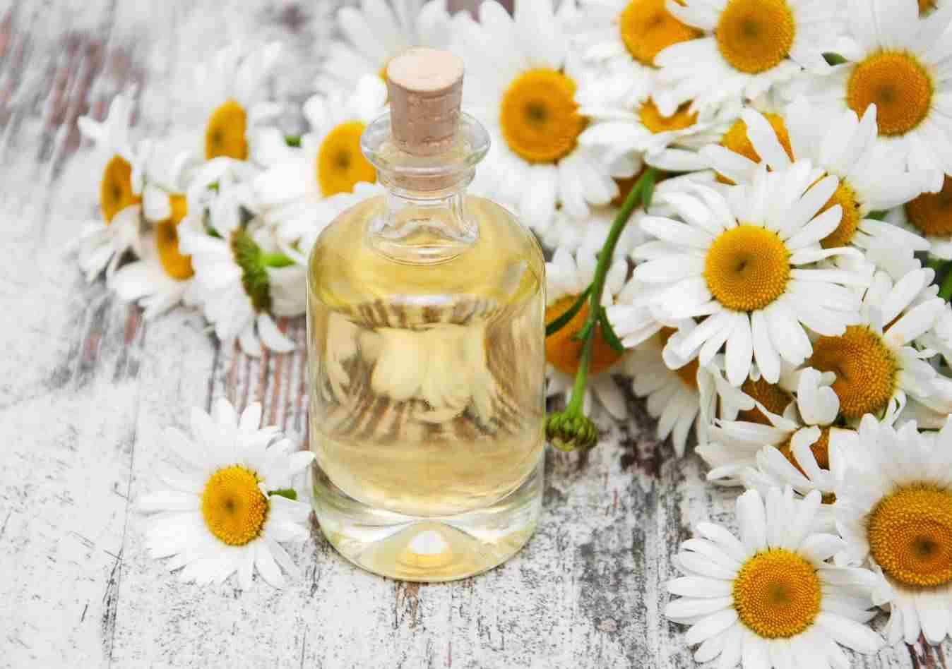 Roman Chamomile Hydrosol