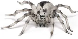 tarantula