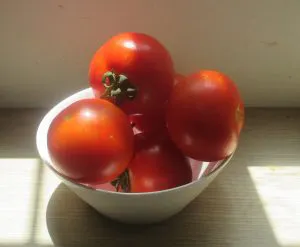 tomates