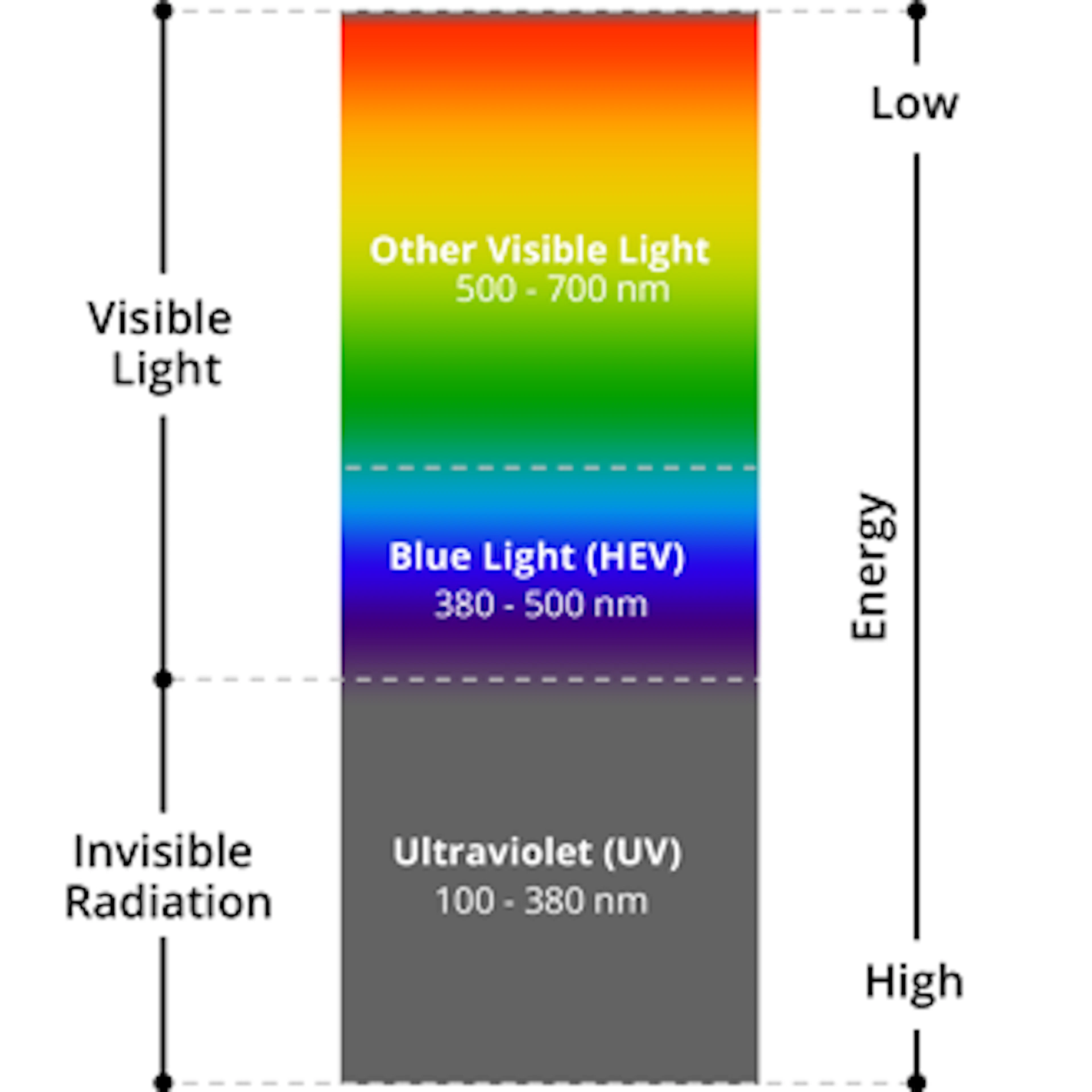 The Light Spectrum