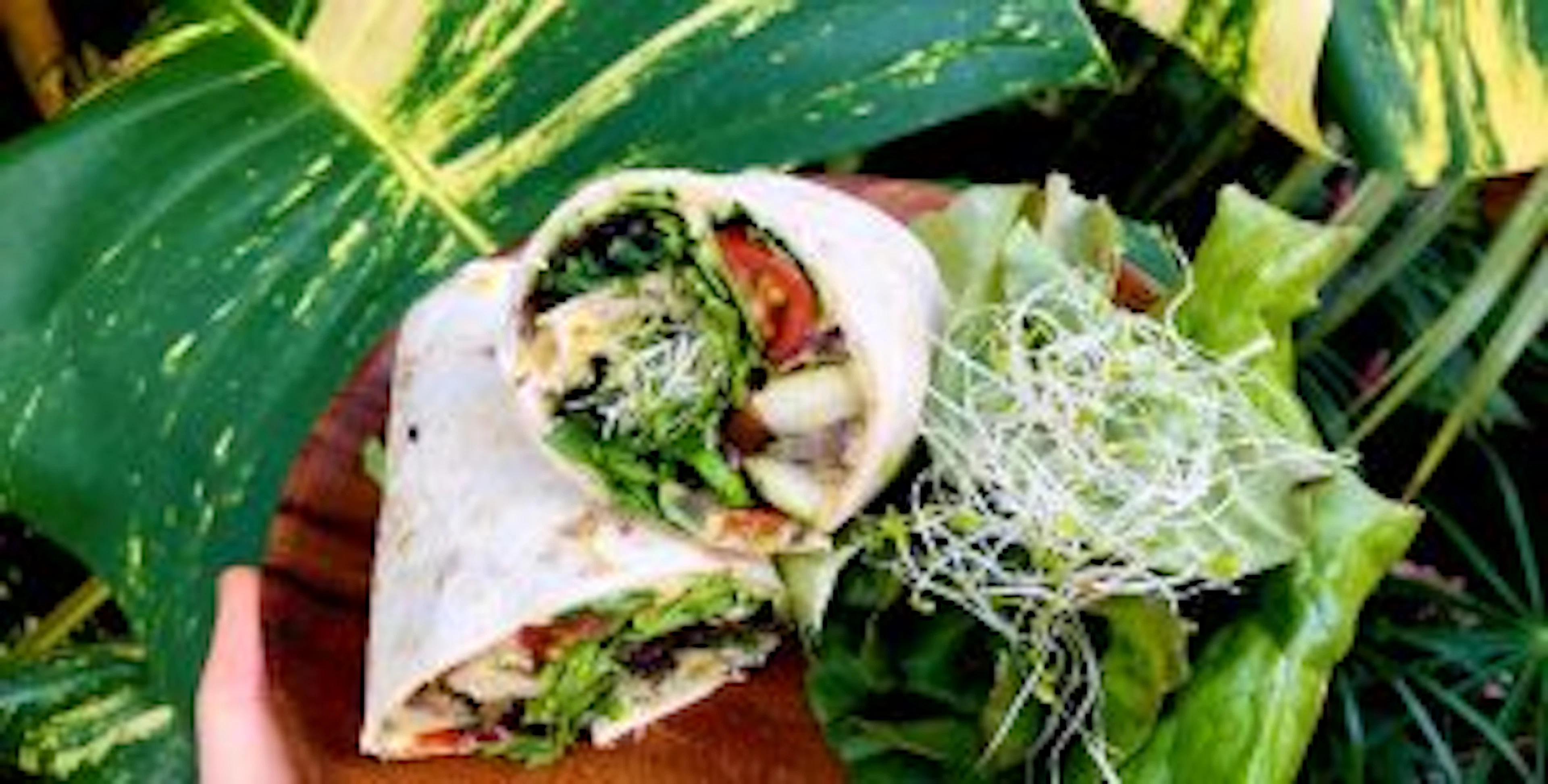 wraps