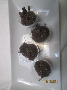 pudding