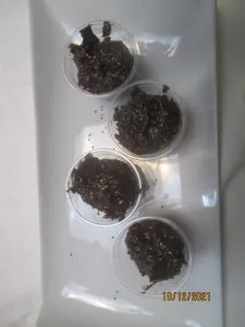 pudding
