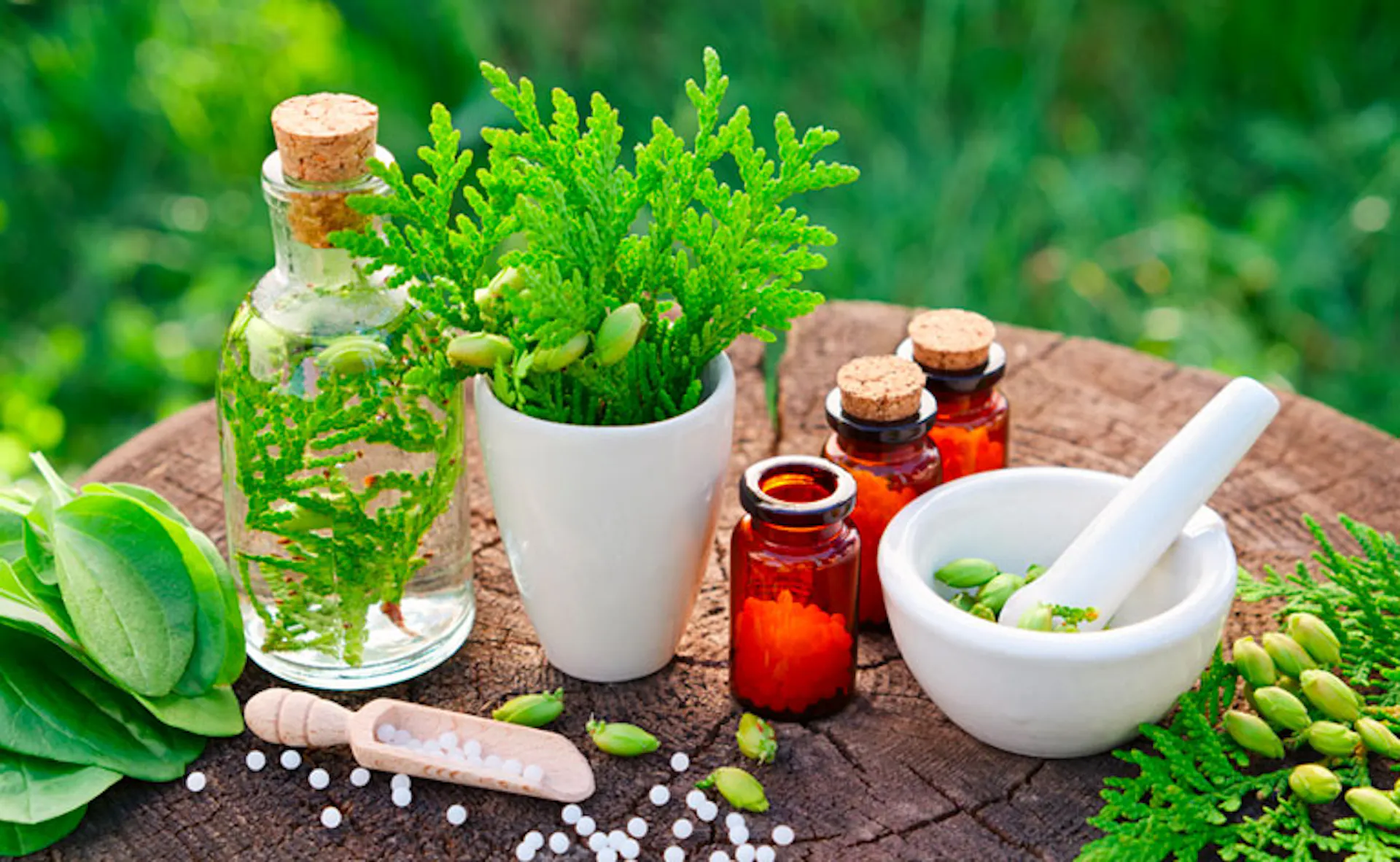 homeopathe