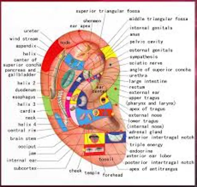 map of an Ear