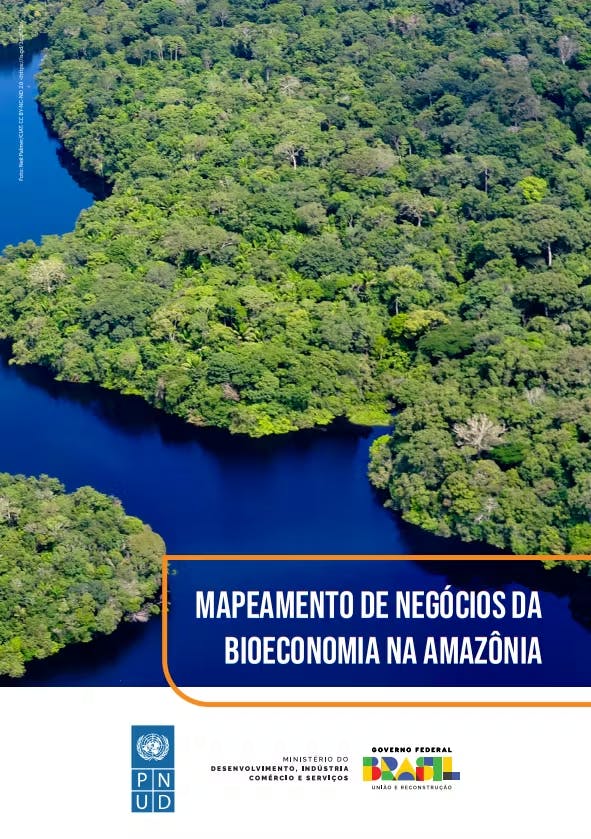 Mapeamento de Negócios da Bioeconomia na Amazônia