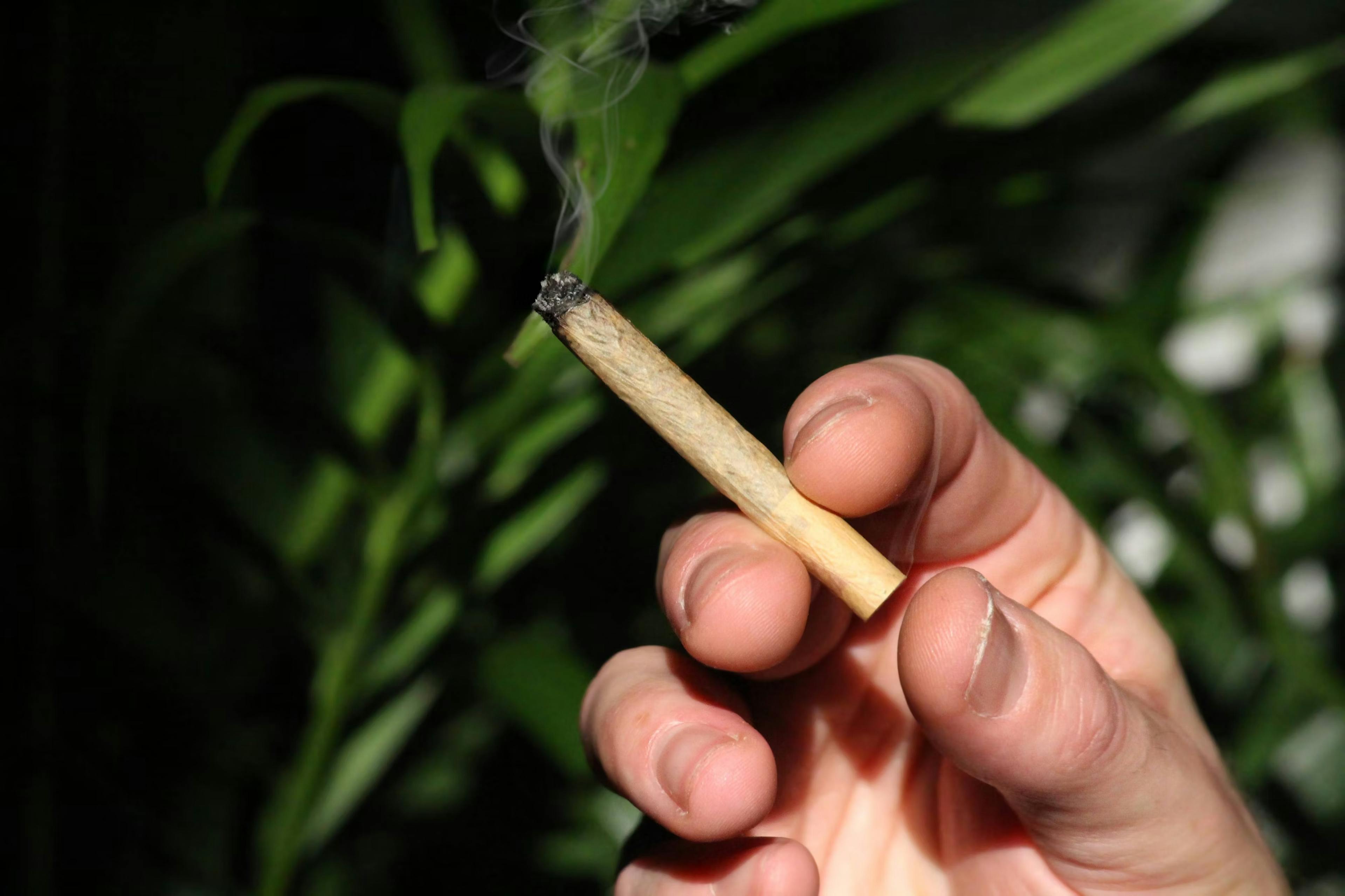 Responsible Cannabis Use Banner