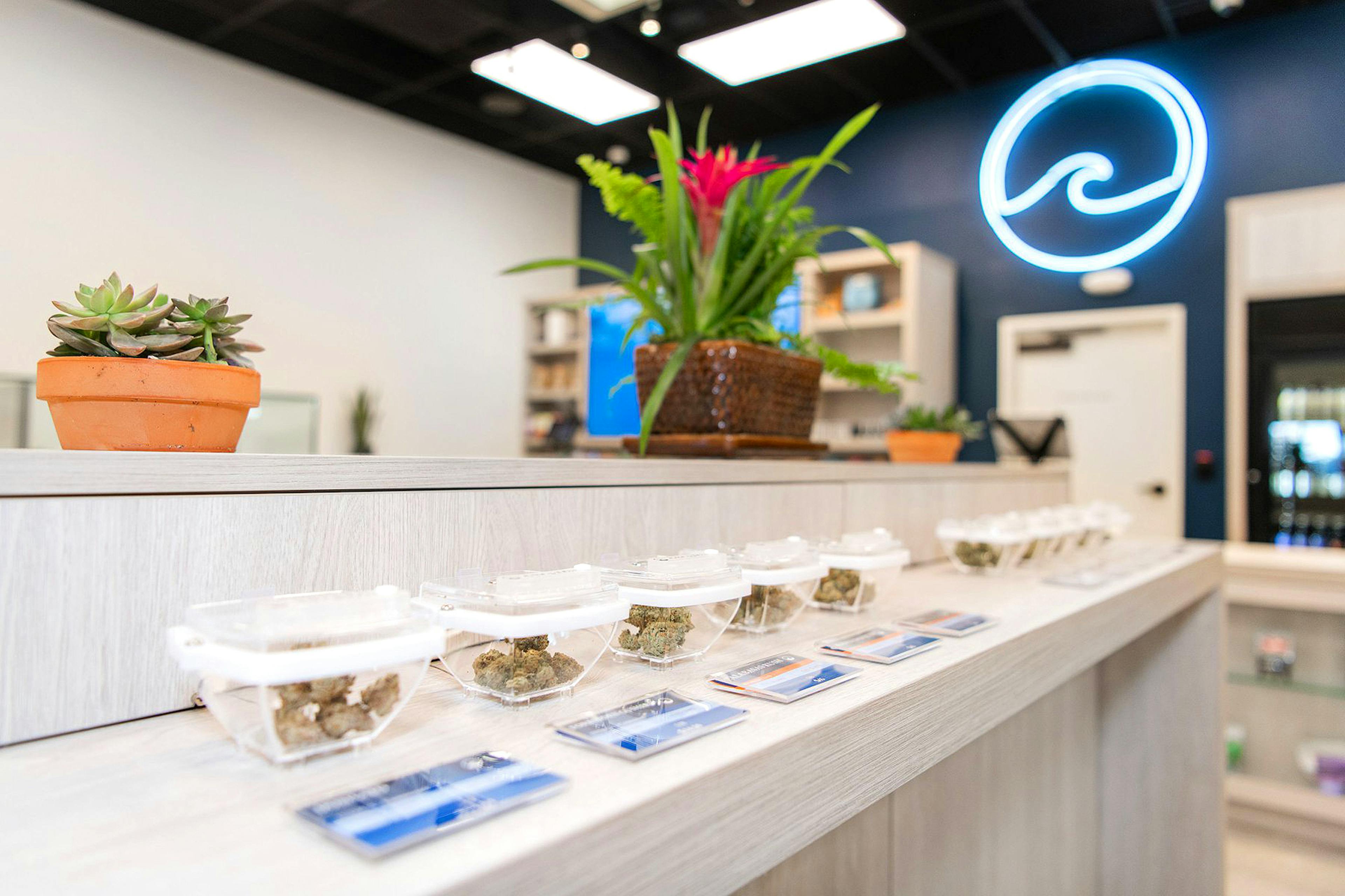 Coastal Santa Barbara In Store