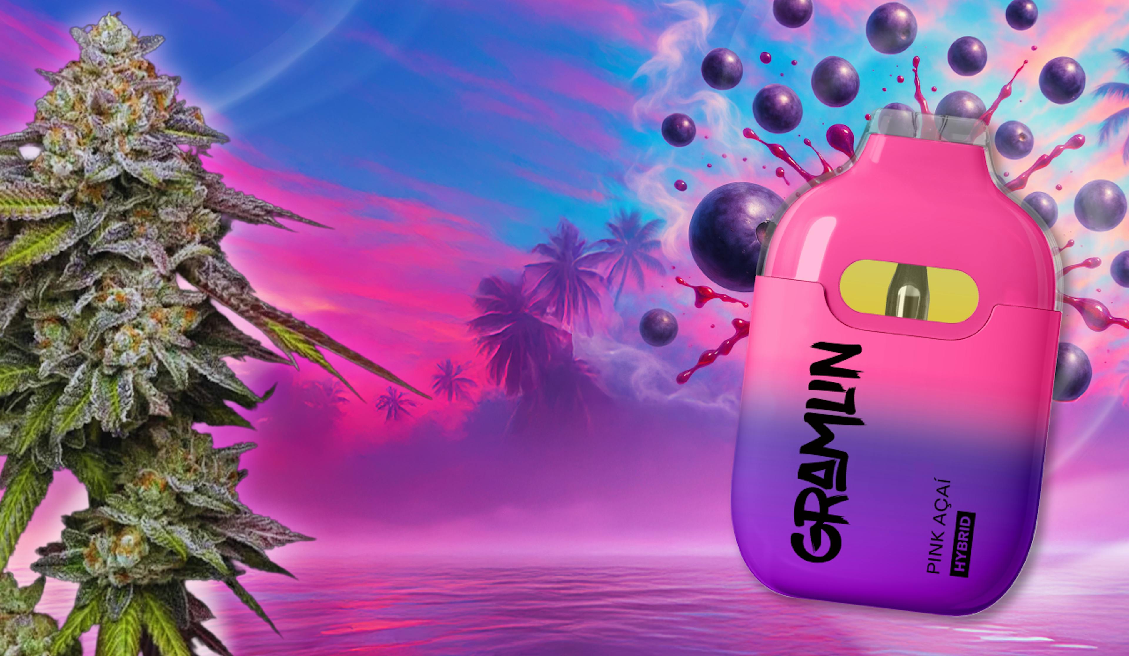 Discover the Pink Acai Strain: A Flavorful Experience