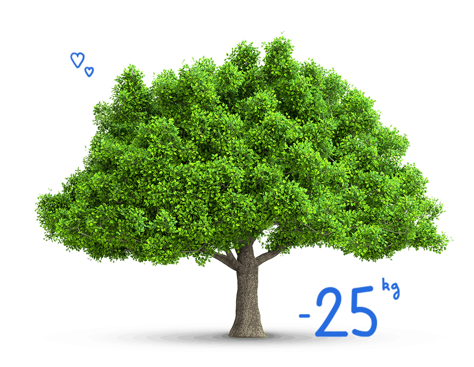 arbre
