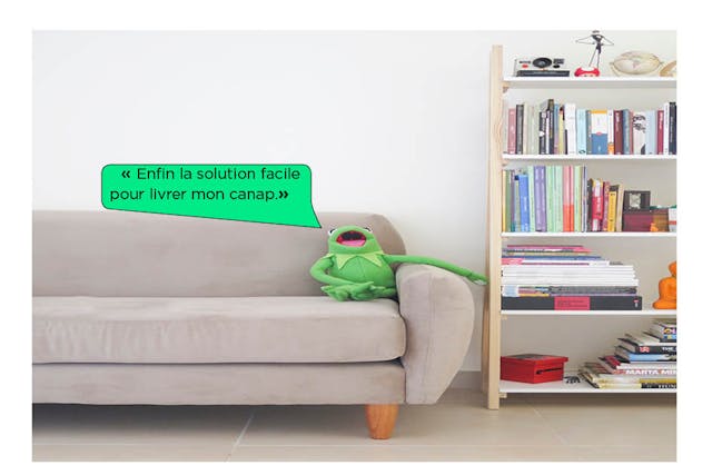 image kermit