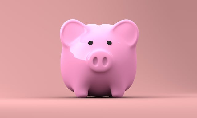 cochon tirelire
