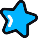 customer review