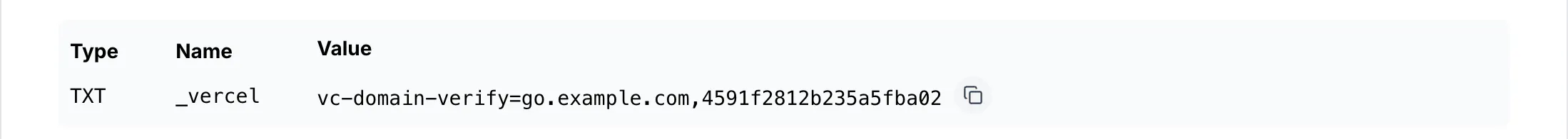 The TXT record with type, name and value, and the button that copies the value