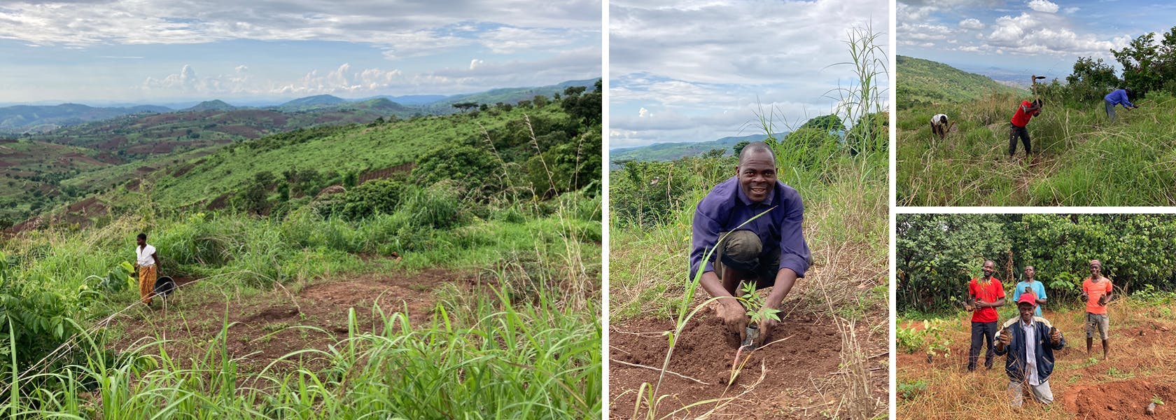 Collage mit Bildern aus Malawi, Arbeiter beim pflanzen der Bäume