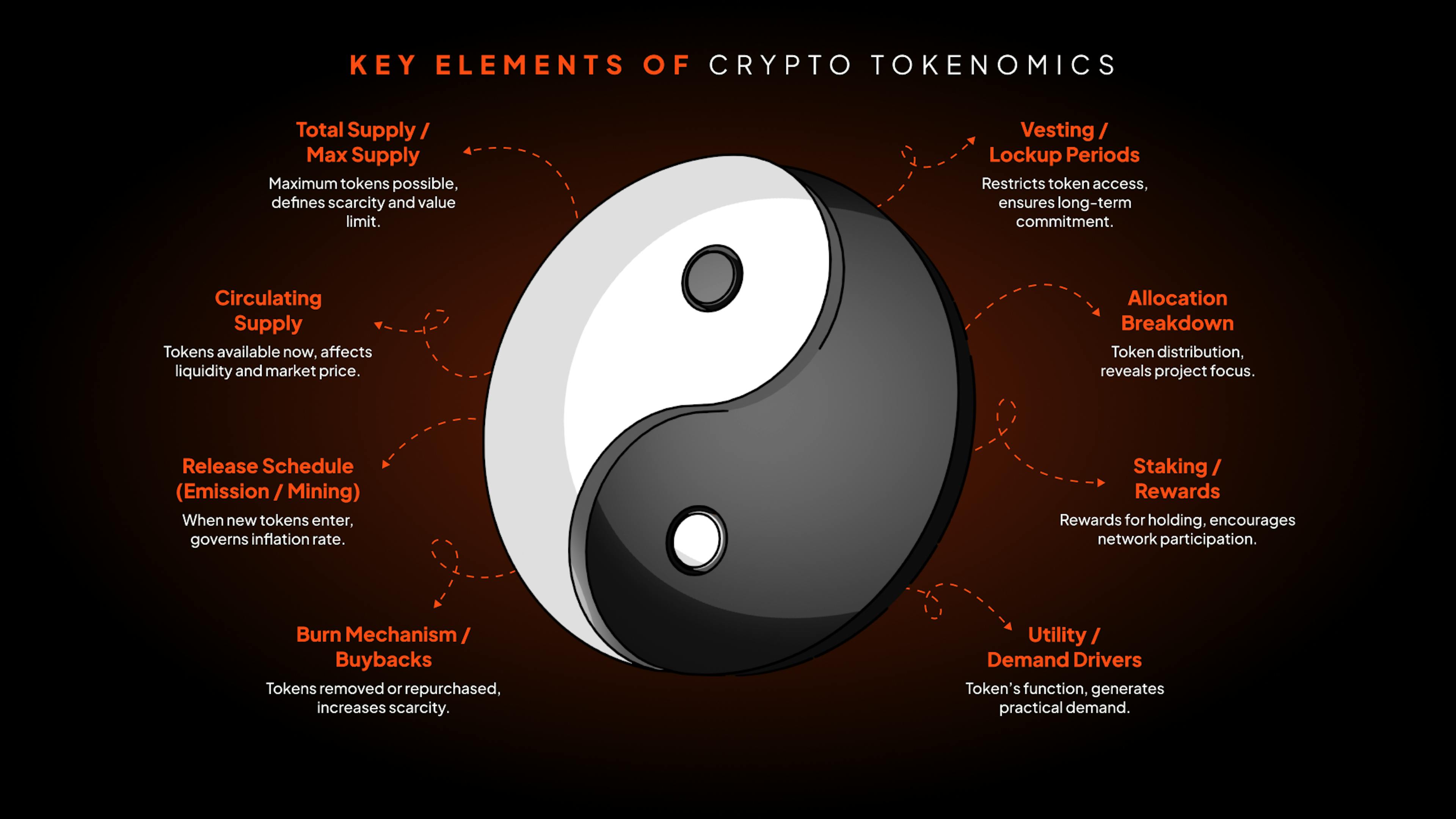 Crypto tokenomics explained – supply and demand dynamics in cryptocurrency.