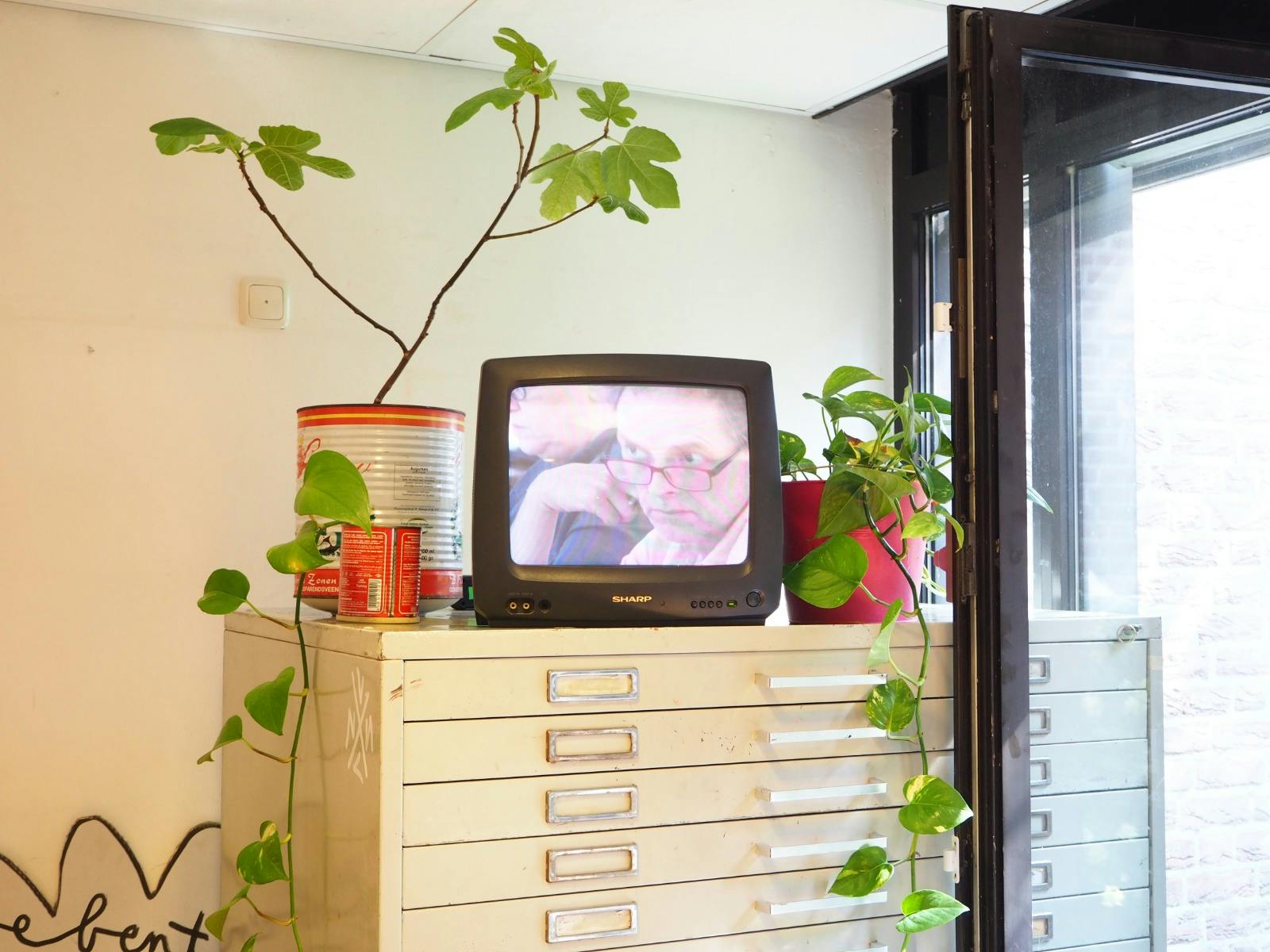 Videostill Felle Ellende