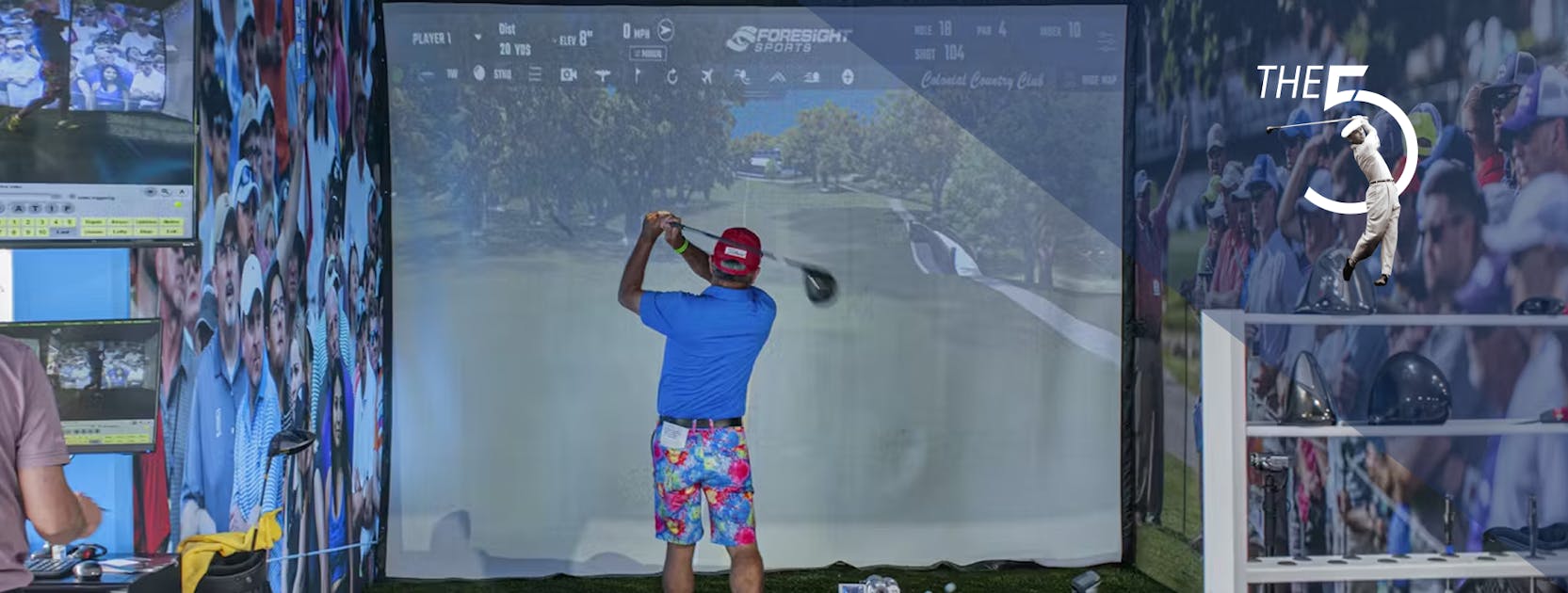 Swing Analysis simulator