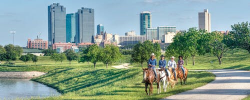 Horses in Fort Worth