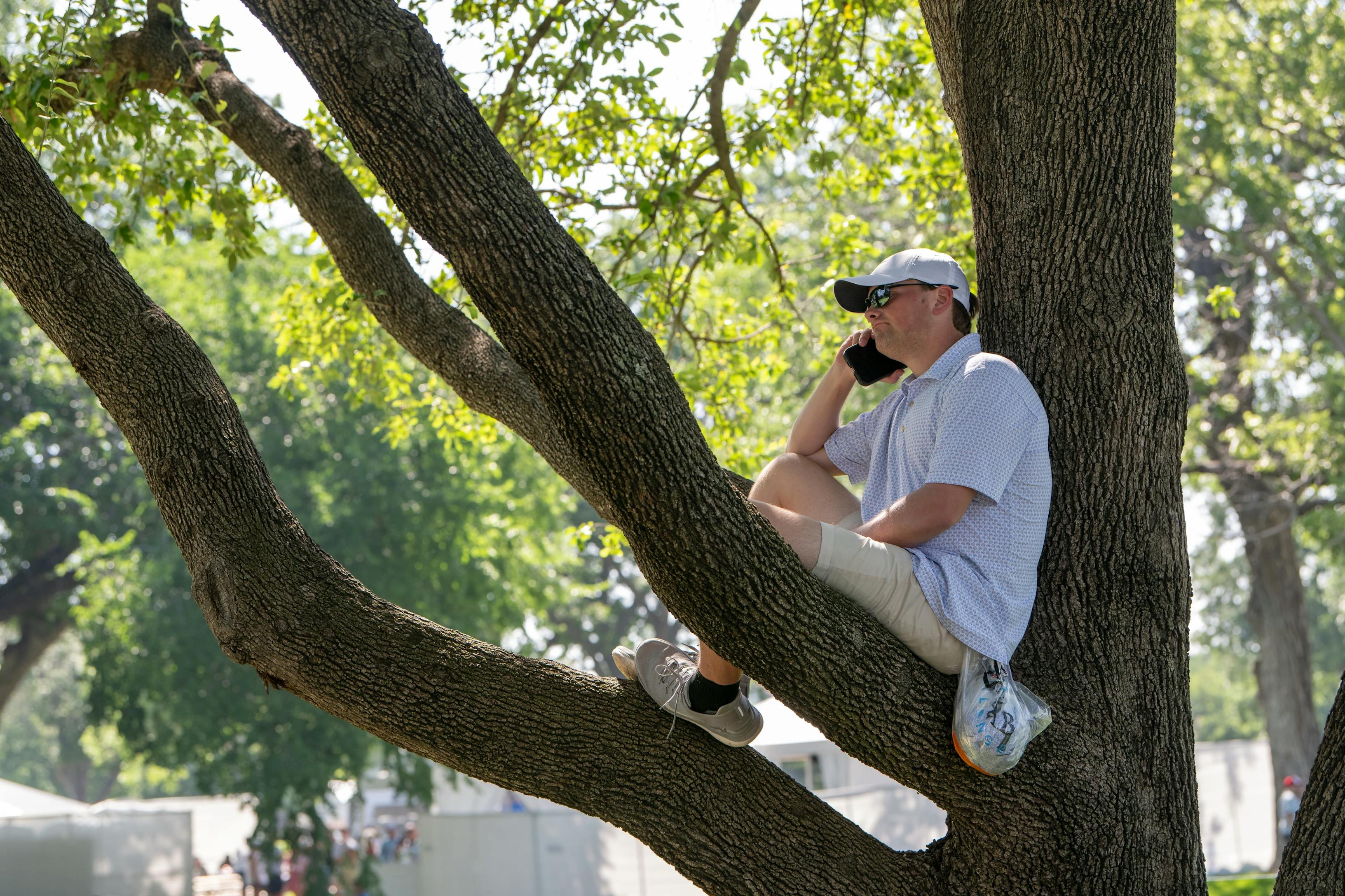 Guy in tree