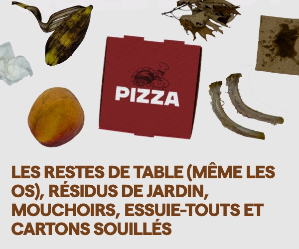 Visuel de la campagne «Quel bac?» du bac brun avec plusieurs aliments de consommation