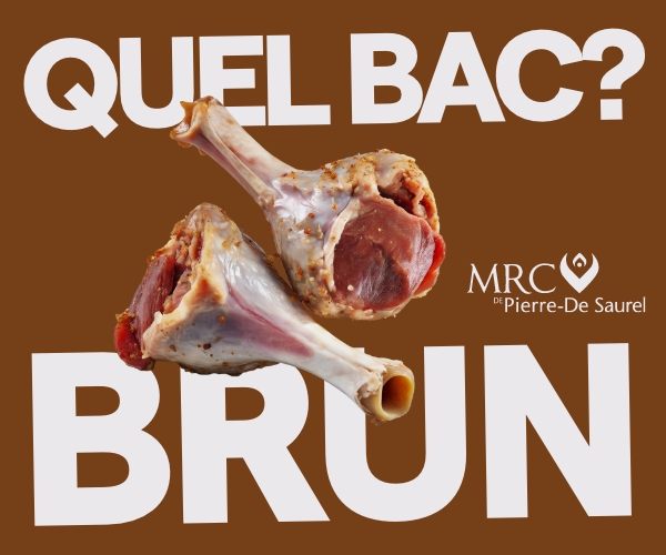 Visuel de la campagne «Quel bac?» du bac brun avec des os de dinde