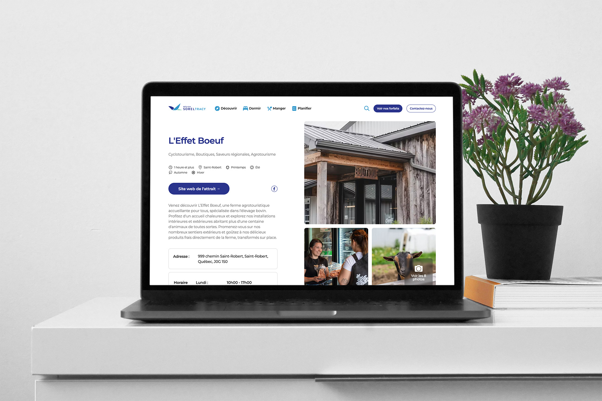 Vue sur un ordinateur portable du site web de Tourisme Région Sorel-Tracy où on voit l'attrait de l'Effet Boeuf