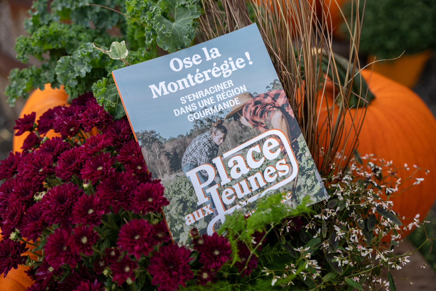 Brochure intitulée ‘Ose la Montérégie! S’enraciner dans une région gourmande’ de Place aux Jeunes, posée parmi des fleurs violettes, du feuillage vert et des citrouilles, évoquant une ambiance automnale.