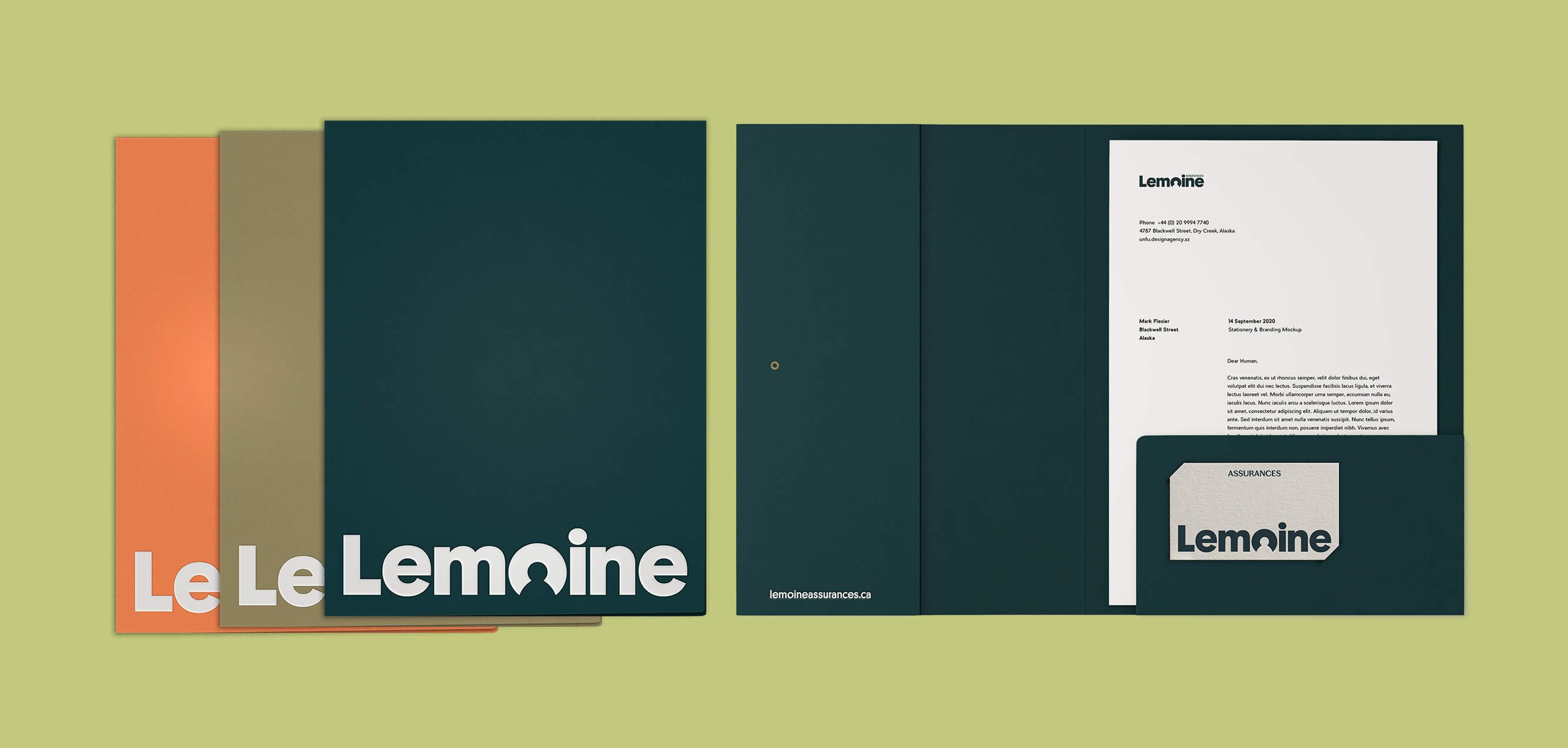 lemoine-assurances-dossier-dassurance-et-carte-daffaire