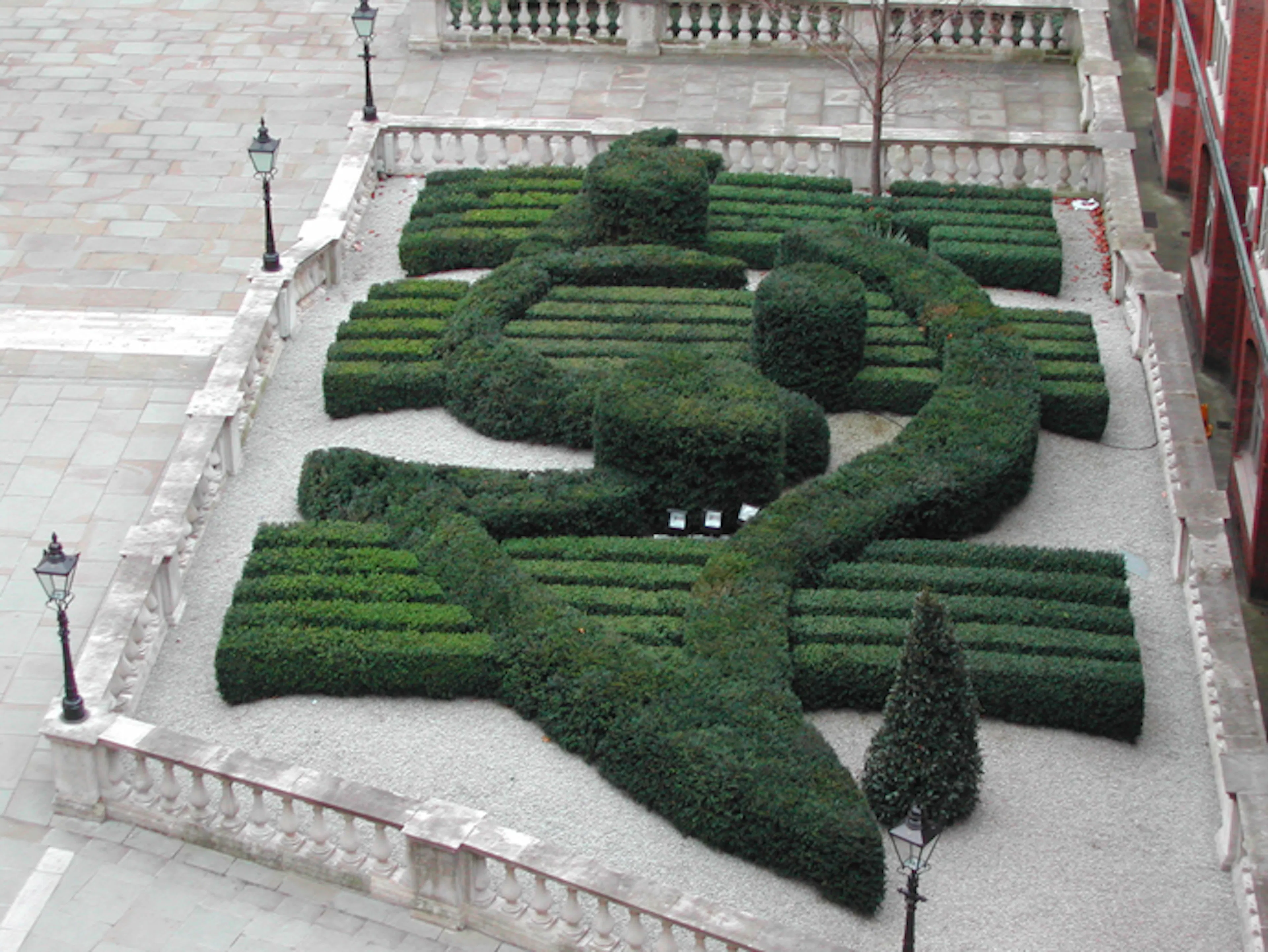 4 Royal Albert planting