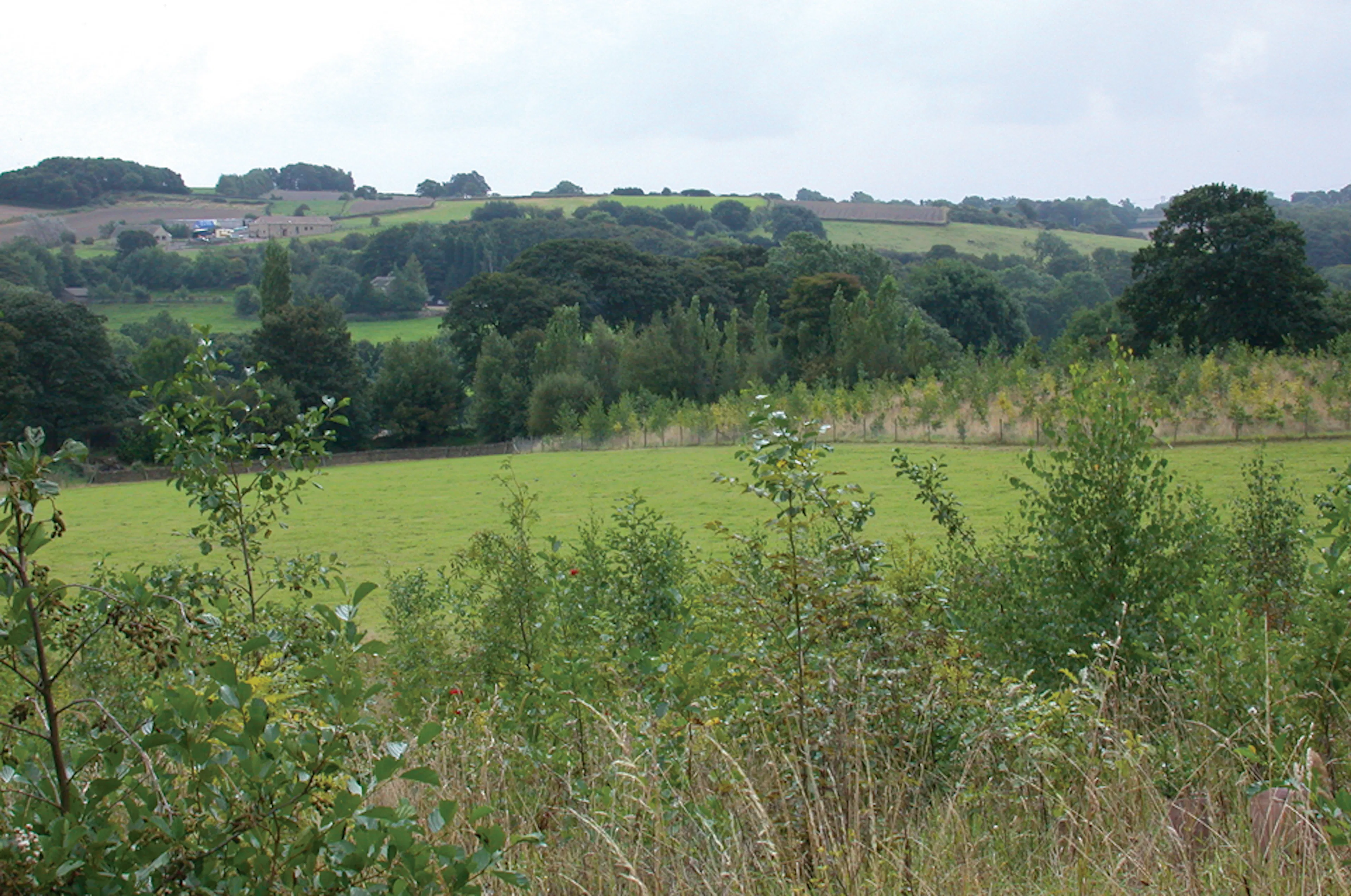 1. Hepworth view