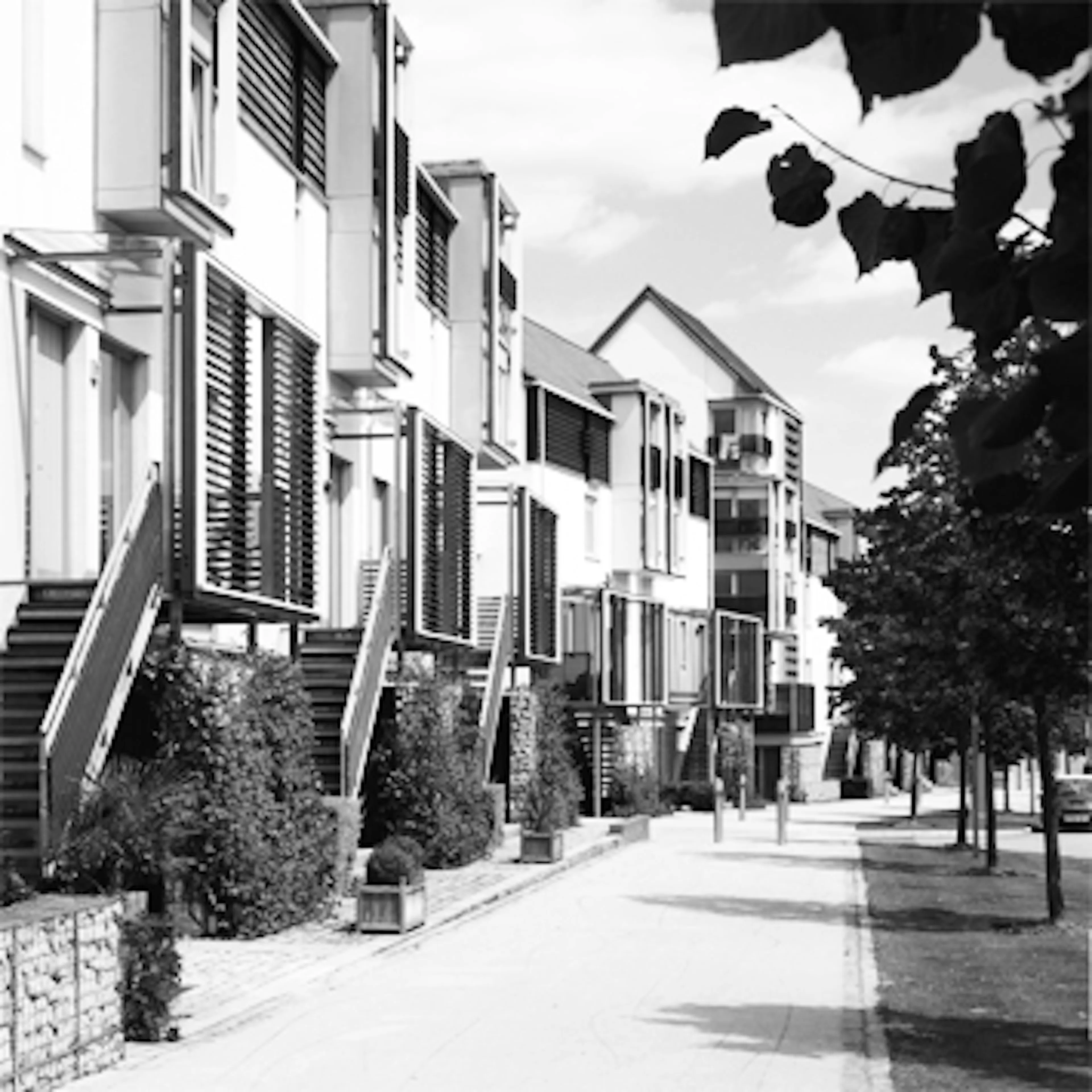 Newhall B&W crop