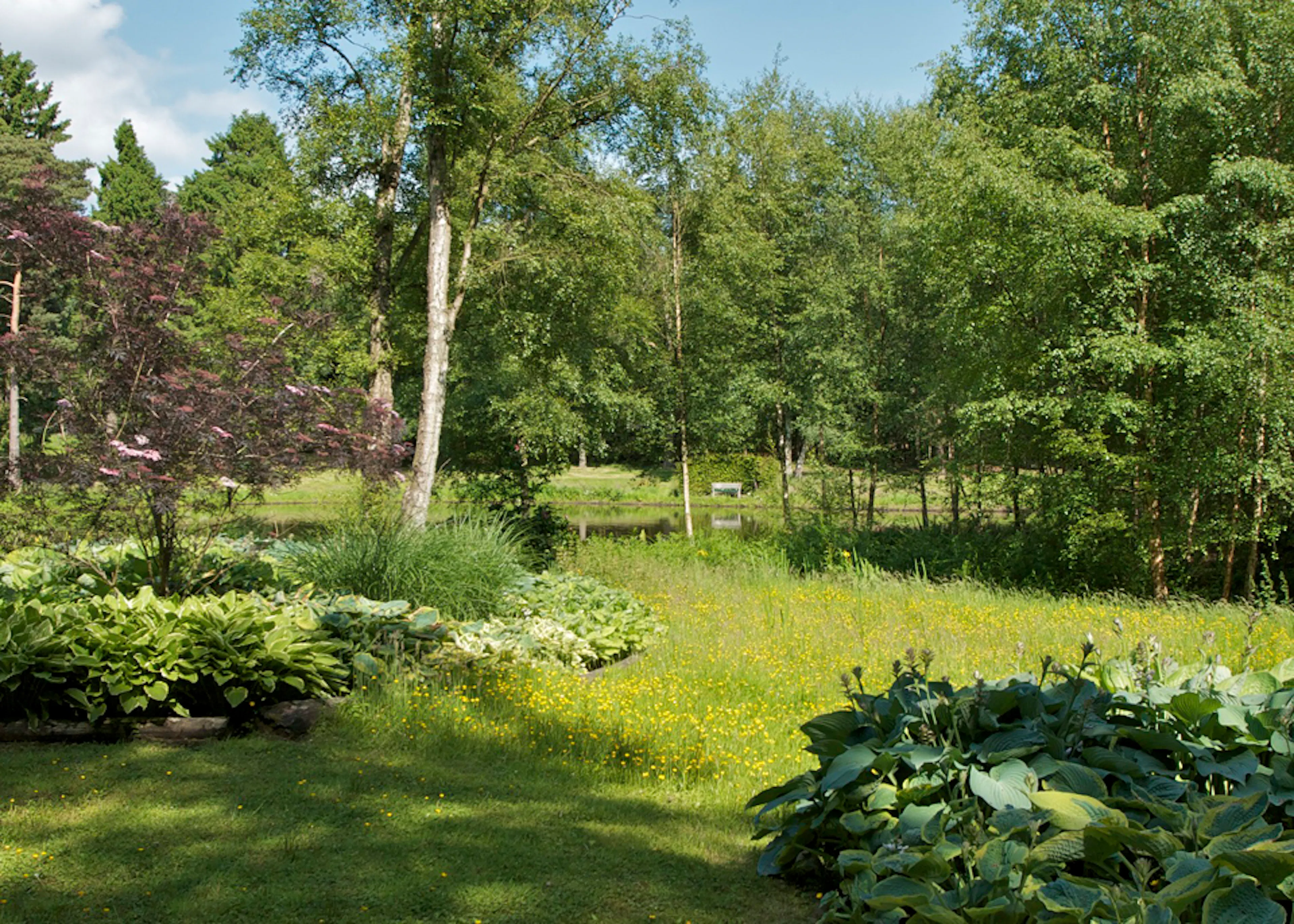 2. Meadow