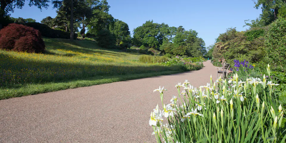 1. wisley
