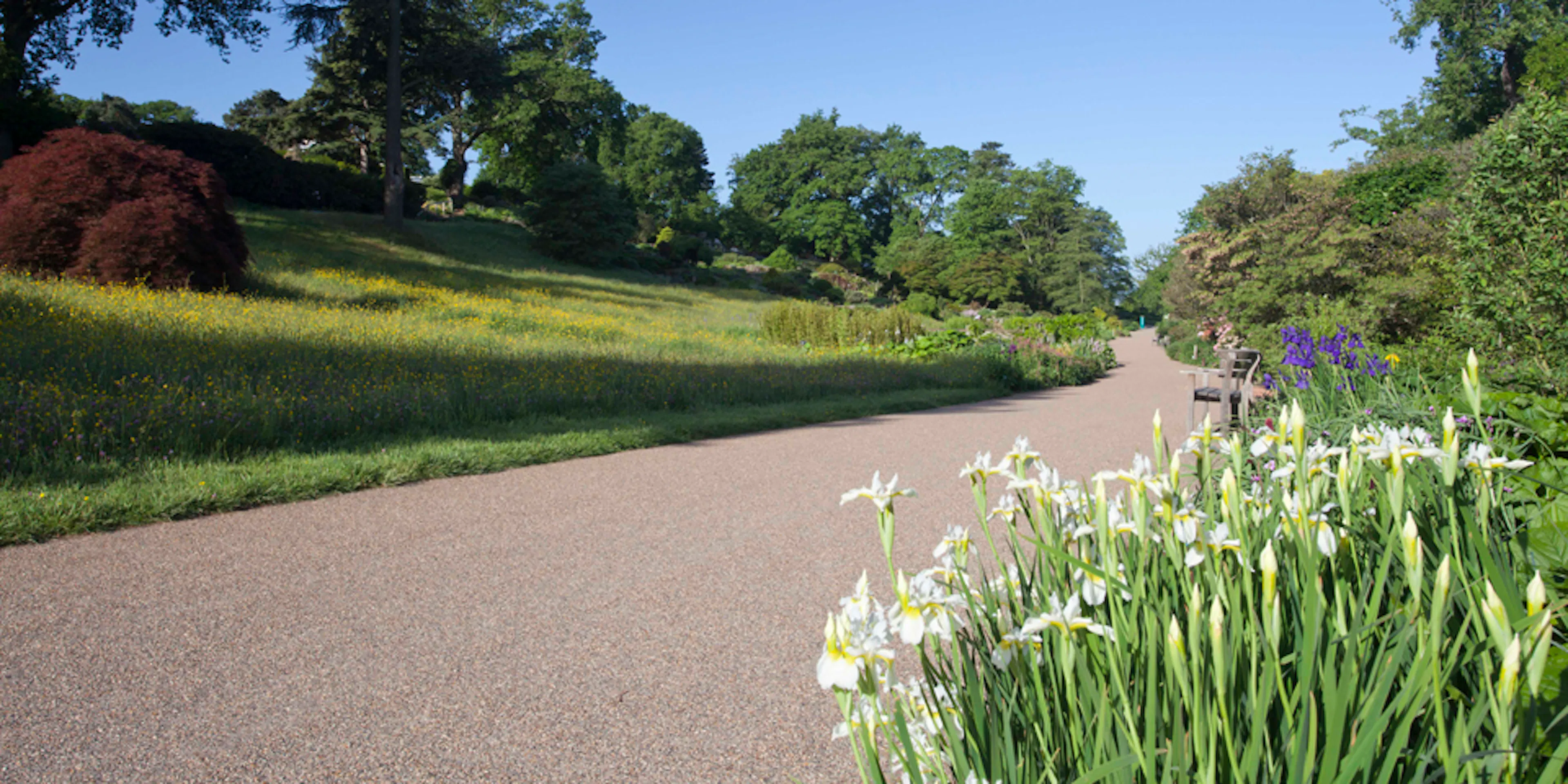 1. wisley