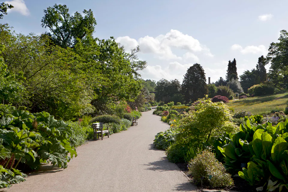 3. wisley
