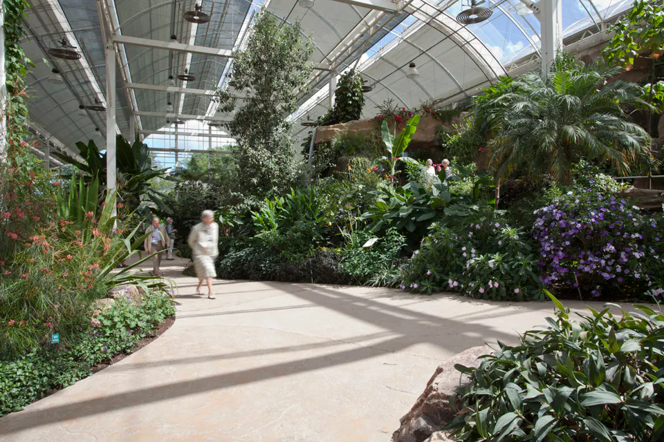 4. wisley