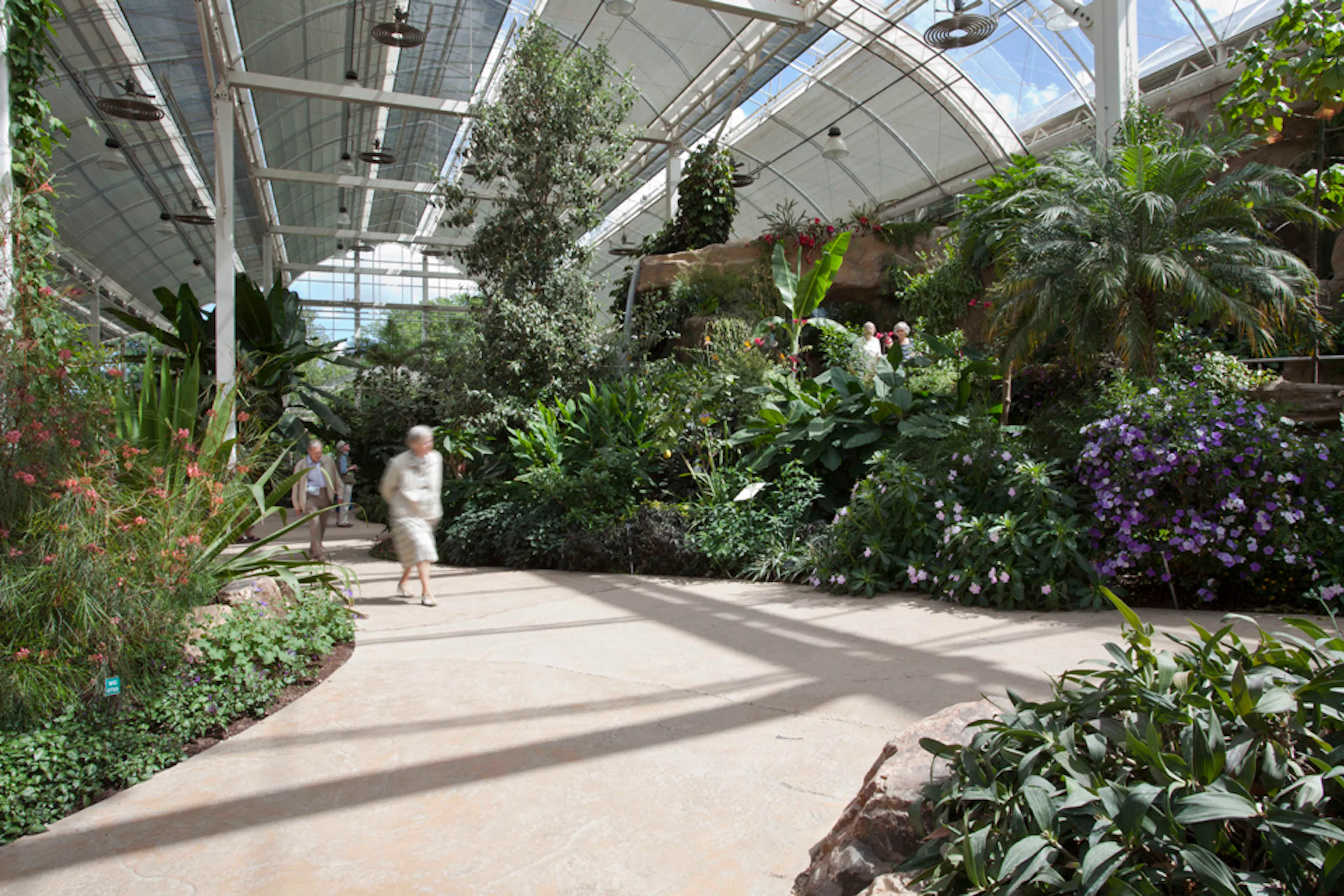 4. wisley
