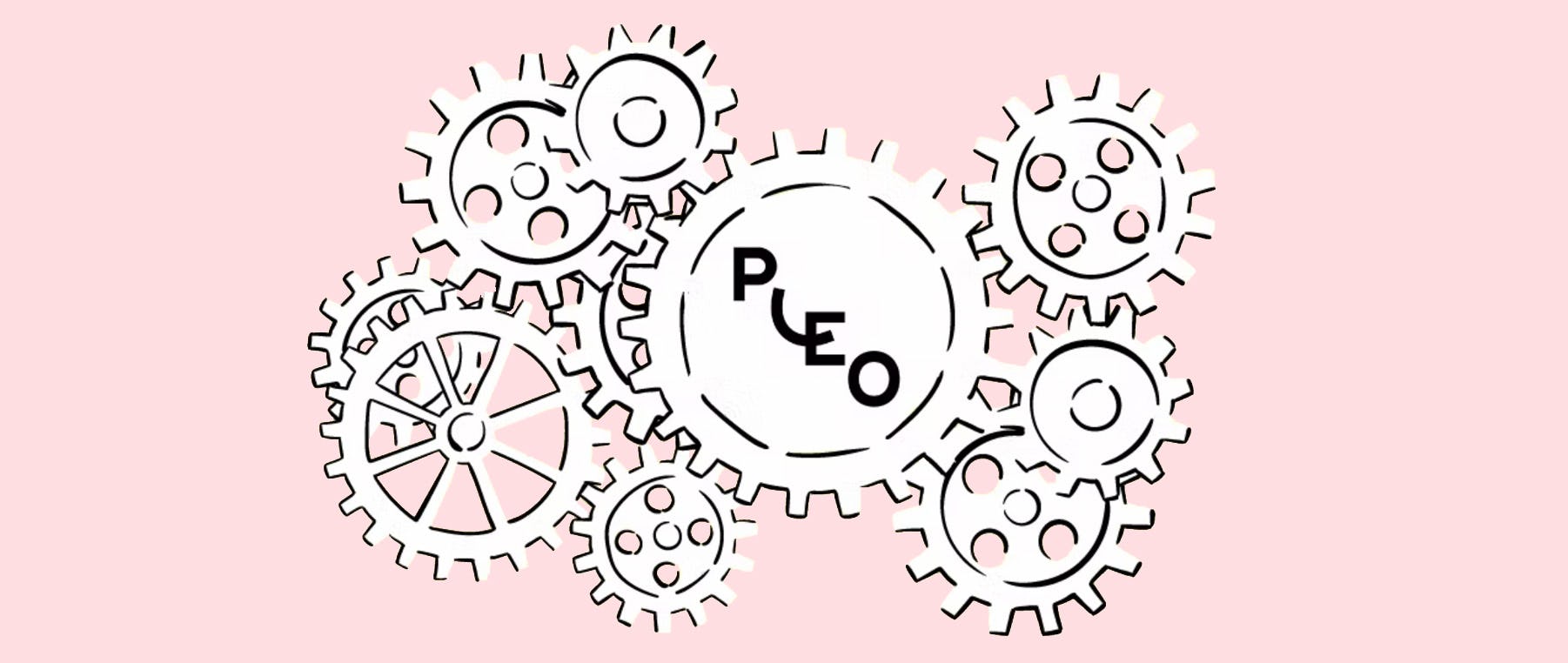 Pleos Zahlungs- und Sicherheitsinfrastruktur