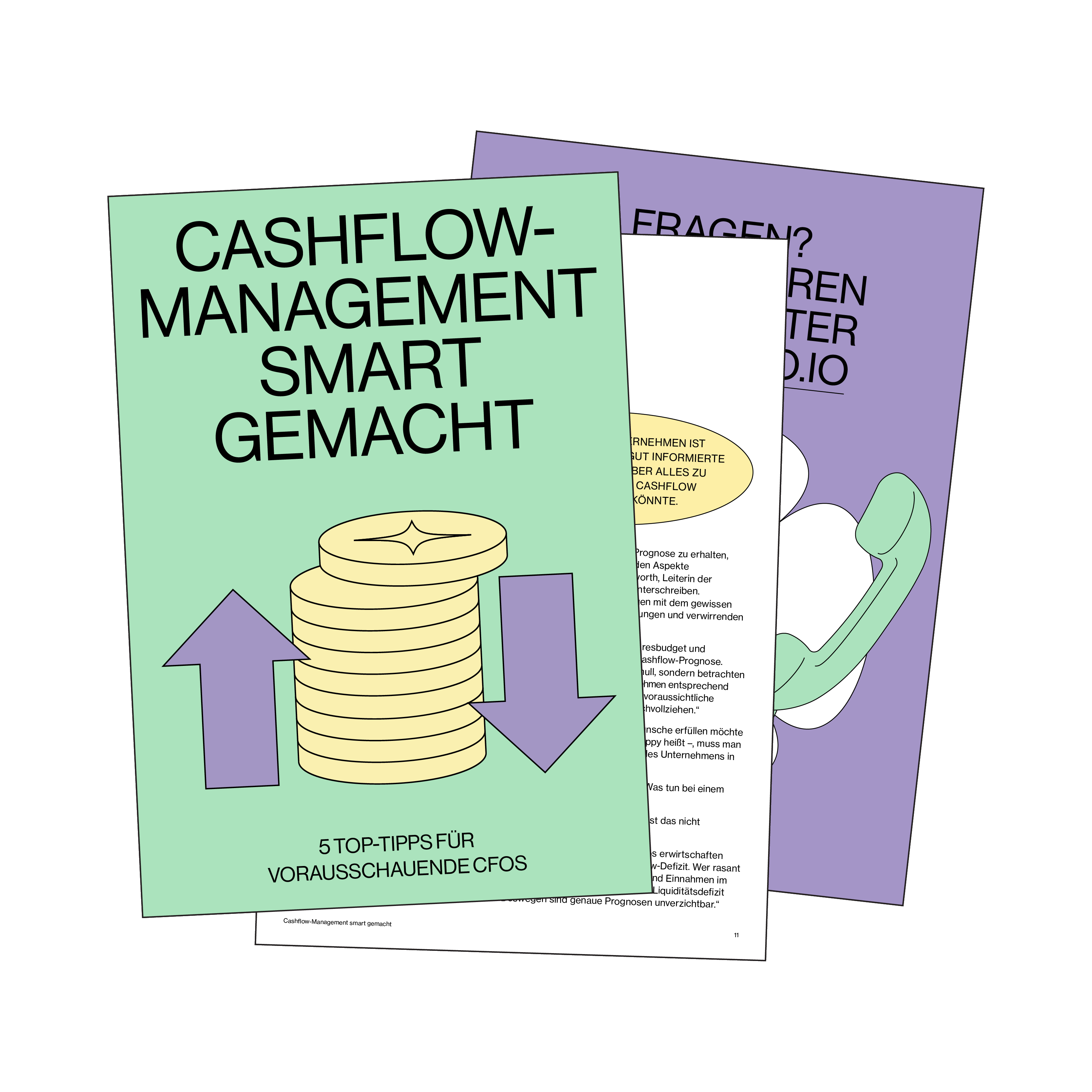 Pleos E-Book zu smarten Cashflow