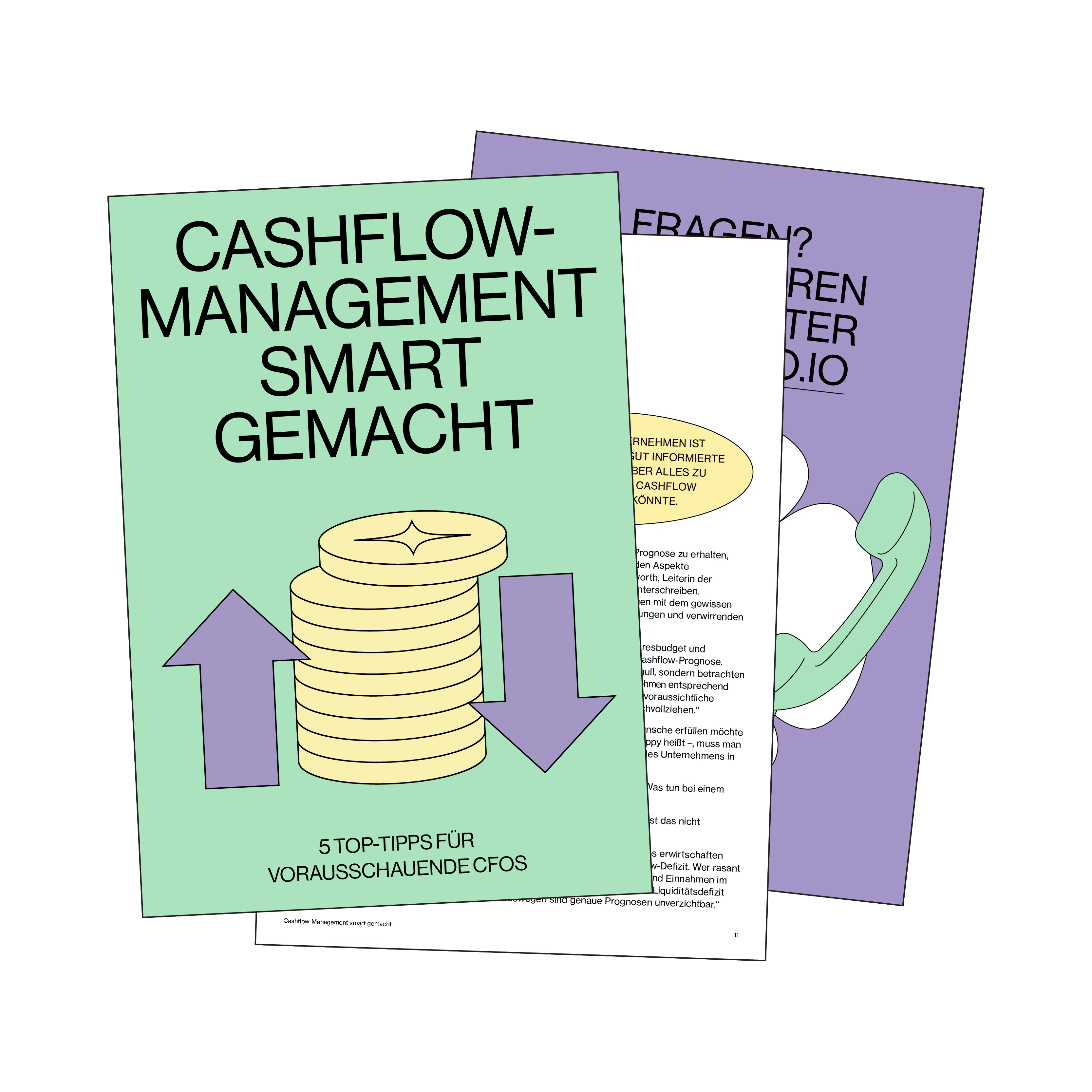 Pleos E-Book zu smarten Cashflow