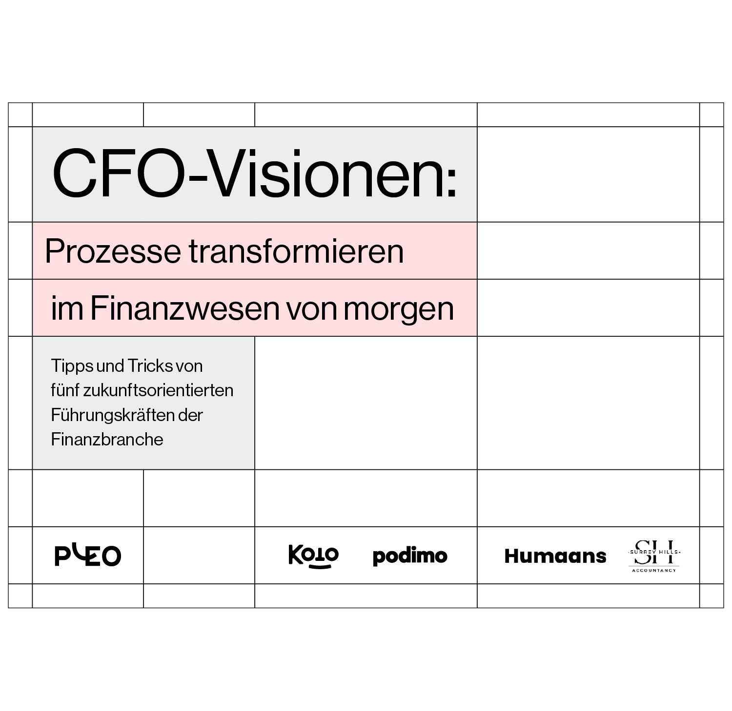 CFO-Visionen