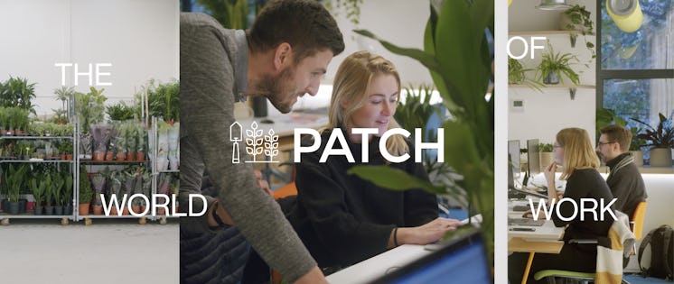 The world of work with Patch Plants