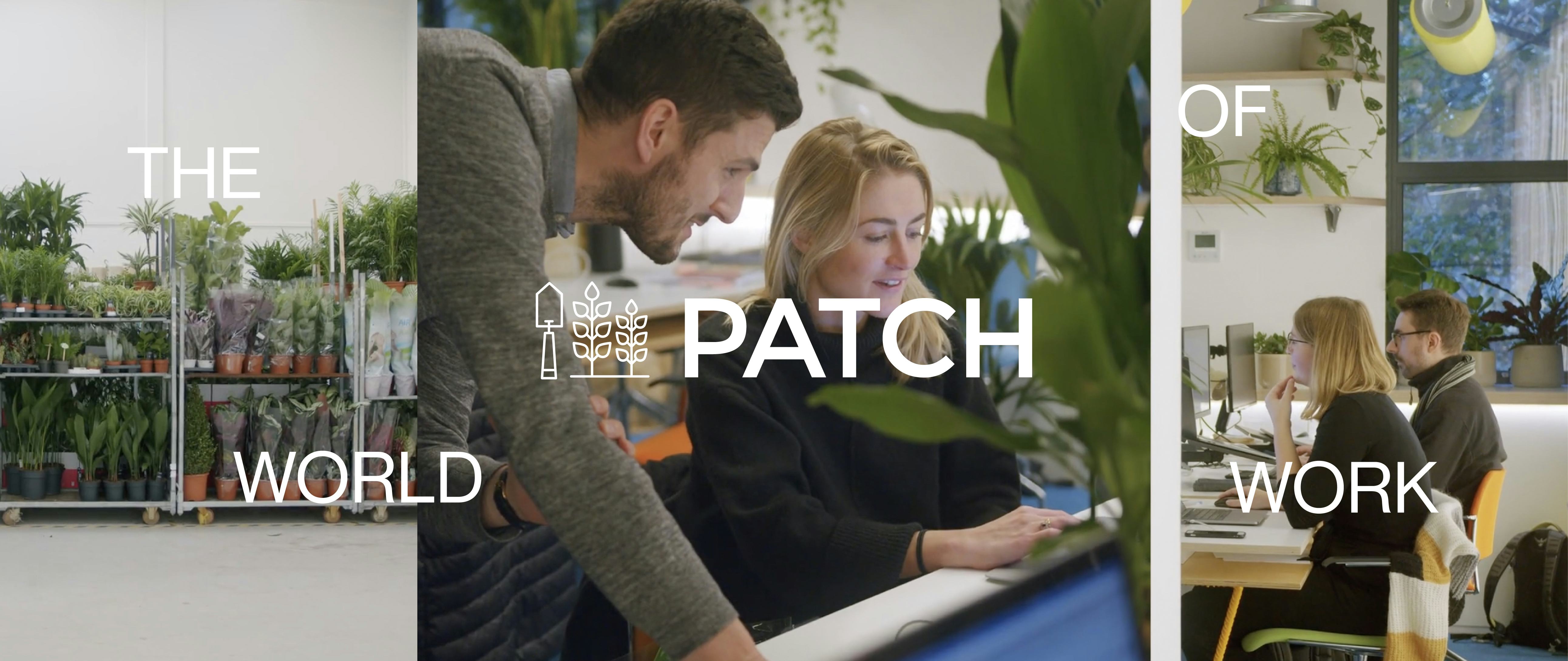 The world of work with Patch Plants