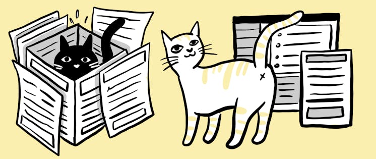 E-invoices and cats