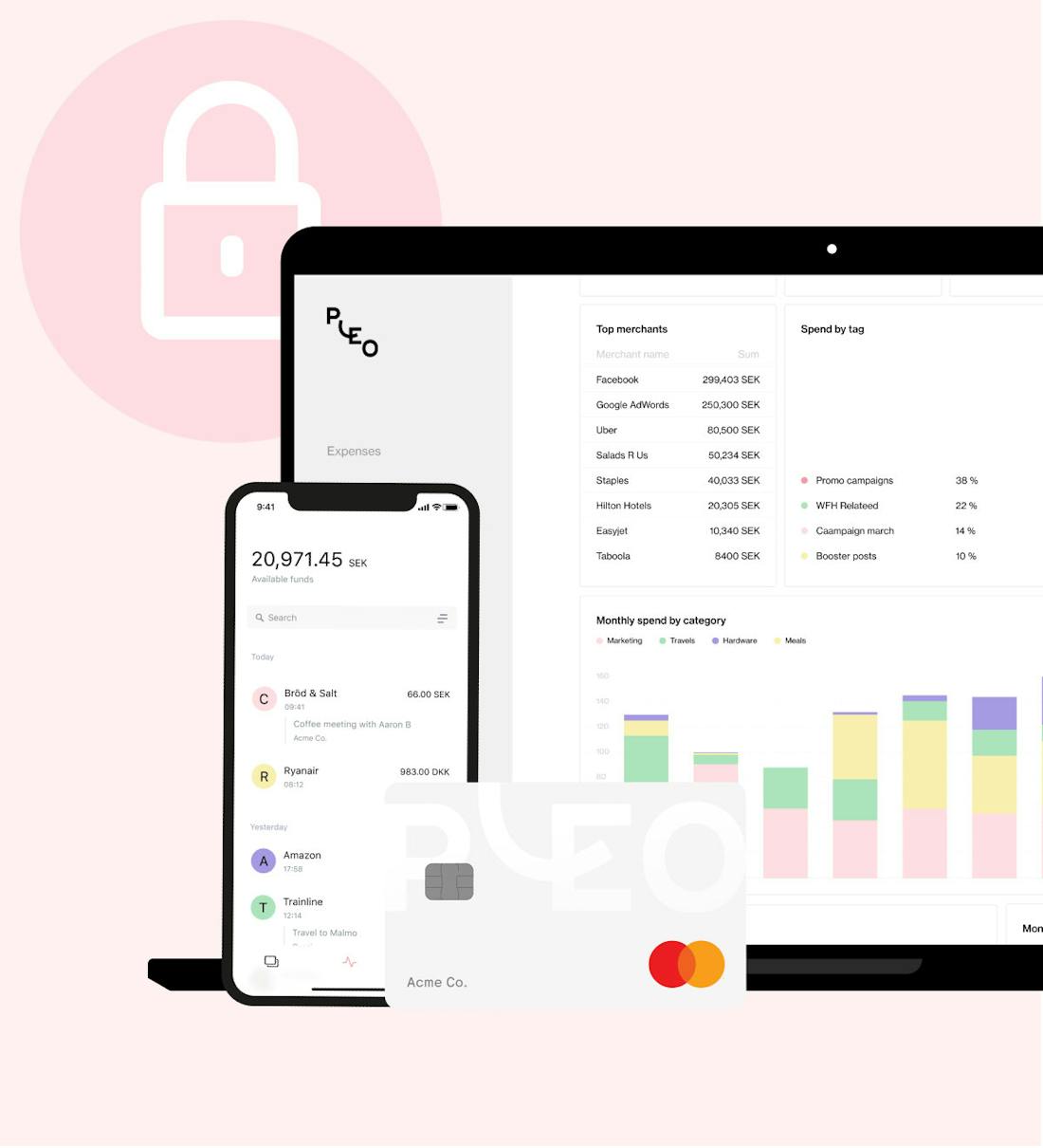 Bank Level Security And Fraud Protection Pleo