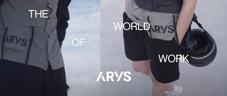 The World of Work Arys