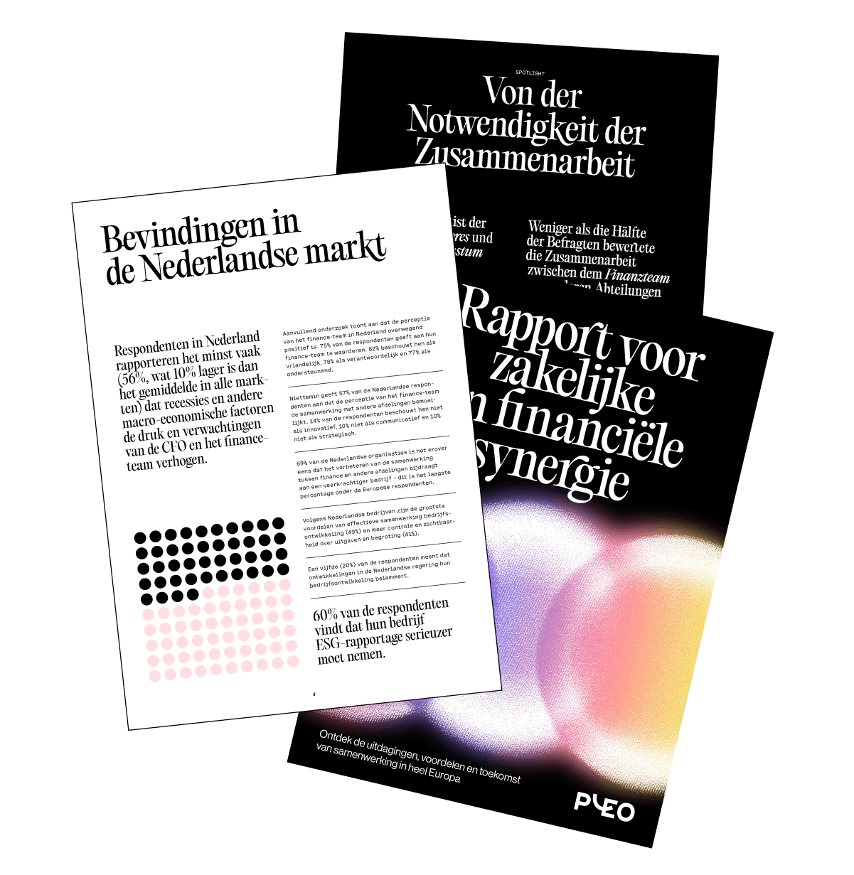 Rapport voor zakelijke en financiële synergie
