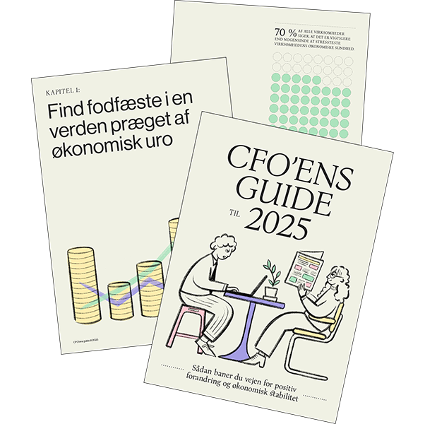 CFO'ens guide til 2025