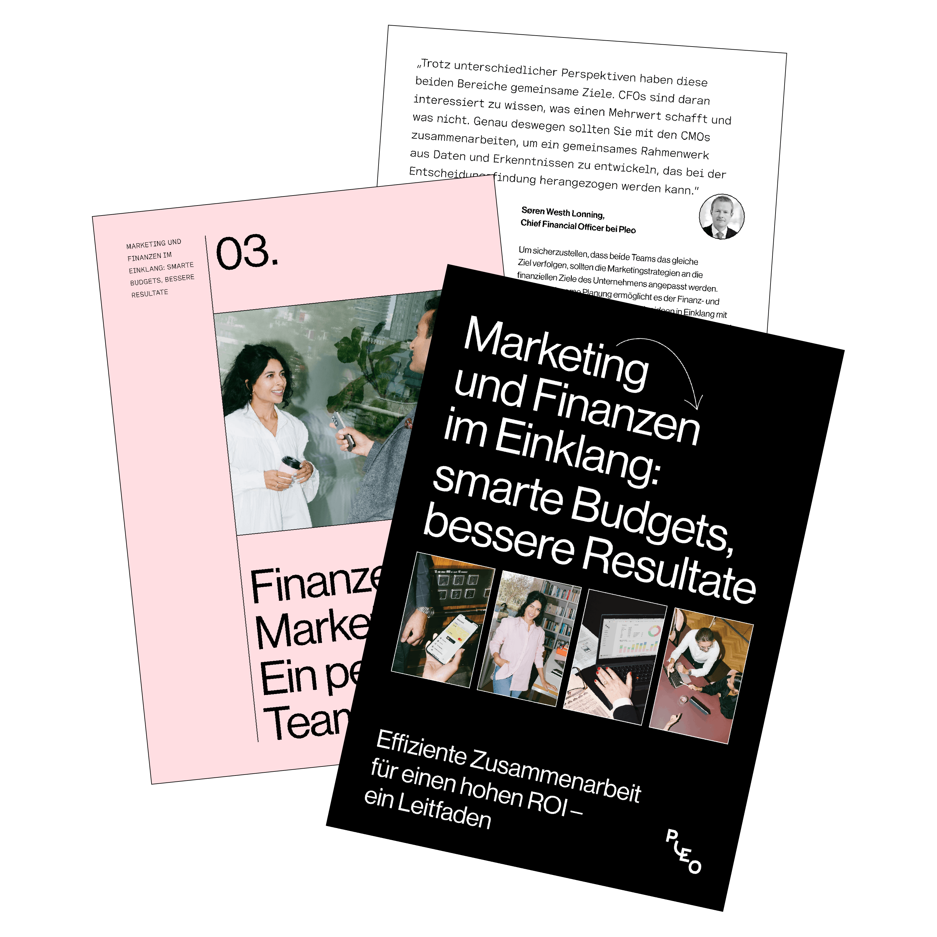 Marketing und Finanzen im Einklang E-Book